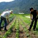 Recruitment For General Farm Worker Job In Canada